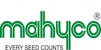 Maharastra Hybrid Seeds